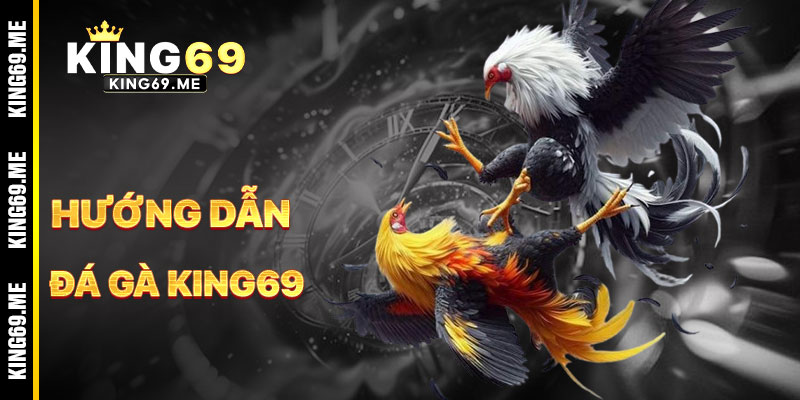 Hướng Dẫn Cá Cược Đá Gà KING69