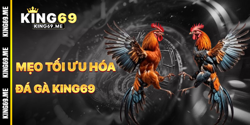Mẹo Tối Ưu Hóa Cá Cược Đá Gà KING69