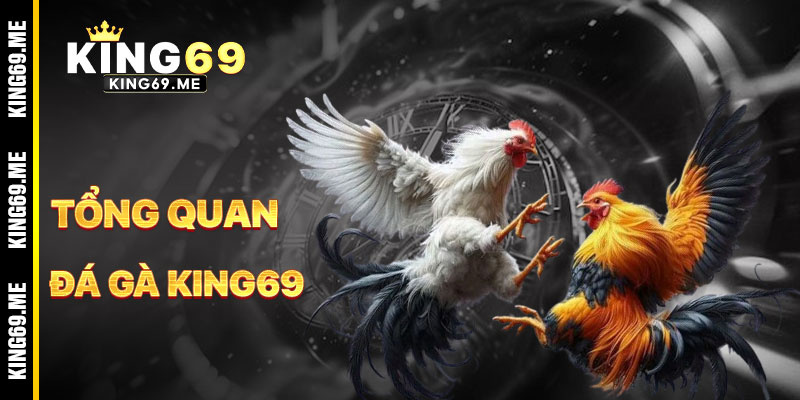Đá Gà KING69 - Đấu Trường Của Những Chiến Kê Huyền Thoại